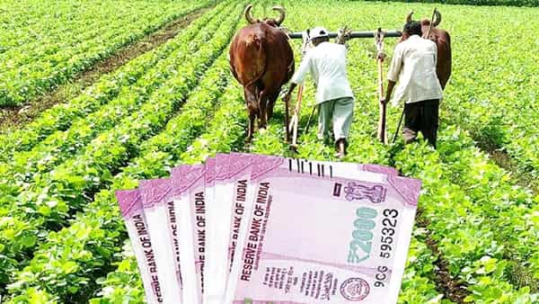 PM Kisan Yojana: పీఎం కిసాన్కు అప్లై చేస్తున్నారా..? అయితే, ఈ అర్హతలు తప్పనిసరిగా ఉండాల్సిందే.. చెక్ చేసుకోండి..