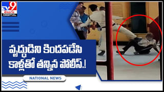 National Animal: సింహం ఎందుకు జాతీయ జంతువు కాలేకపోయింది..! పులికే  ఆ గుర్తింపు ఎందుకు..? ఎప్పుడైనా ఆలోచించారా..? అసలు సంగతి ఇదే..