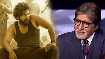 Amitabh Bachchan : 'పుష్ప' సినిమా గురించి అమితాబ్ ఆసక్తికర కామెంట్స్.. ఏమన్నారంటే