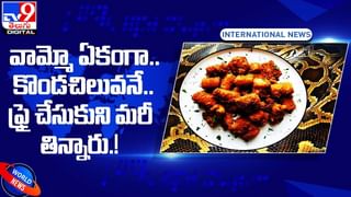 Viral Video: బుడ్డోడే కానీ.. మామూలోడు కాదు.. ఏకంగా భారీ ఫైథాన్‌ను ఏం చేశాడంటే..? షాకింగ్ వీడియో