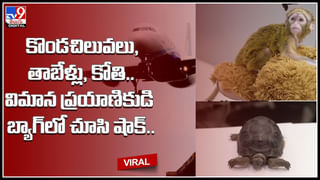 Plastic Pollution: పెరుగుతున్న ప్లాస్టిక్ వ్యర్ధాలు.. కూల్ డ్రింక్స్ నుంచే అధికం.. అదుపు కోసం చర్యలు మొదలు పెట్టిన ప్రభుత్వాలు