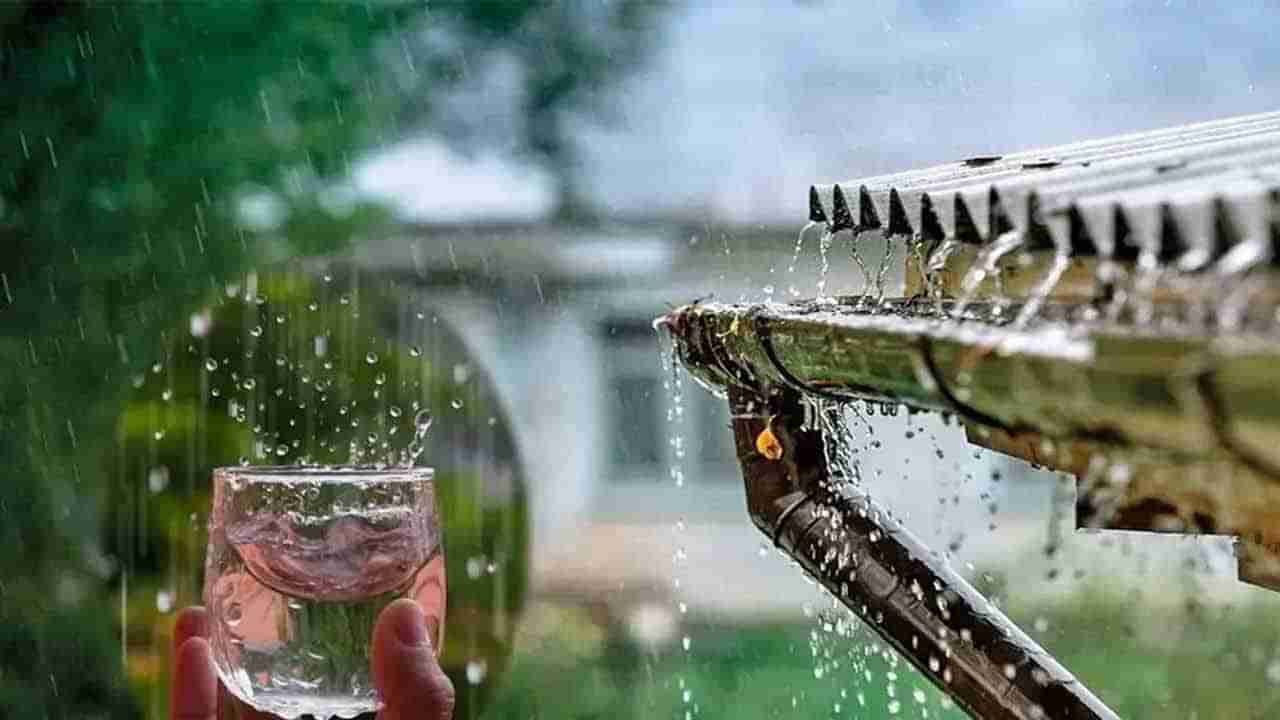 Rain water: వర్షం నీటిని నేరుగా తాగుతున్నారా? క్యాన్సర్‌తో సహా ఎన్నో వ్యాధులు..