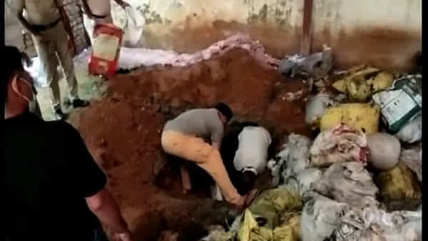 Viral: గోడౌన్లో ఓ చోట కనిపించిన ఎర్ర మట్టి.. 4 అడుగుల గొయ్యి తవ్వగా.. దెబ్బకు ఫ్యూజులౌట్!