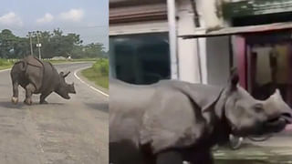 Viral News: కొత్త పెళ్లికొడుక్కి అదిరిపోయే గిఫ్ట్ ఇచ్చిన ఫ్రెండ్స్.. ఓపెన్ చేసిన వరుడికి మైండ్ బ్లాంక్..