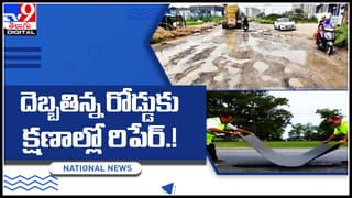Viral Video: దోస్త్ మేరా దోస్త్.. చెట్టాపట్టాలేసుకుంటున్న కుక్క, పిల్లి.. స్నేహానికి నెటిజన్లు ఫిదా