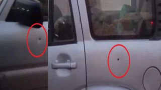 Viral Video: కుక్క కోసం పసివాడి ప్రాణాలను వదిలేశాడు.. చివరకు.. షాకింగ్ వీడియో వైరల్..