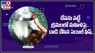 Giraffe on Lovers: ప్రియురాలికి పెళ్ళి ప్రపోజల్‌.. షాక్‌ ఇచ్చిన జిరాఫీ.. ఇలా చేస్తుందని అస్సలు ఊహించలేదు..