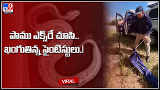 Bride Dance Video: ట్రెండ్ మారుస్తున్న నవ వధువులు.. పెళ్లికూతురి అదిరిపోయే డ్యాన్స్‌.. చూస్తే ఫిదా అవ్వాల్సిందే..