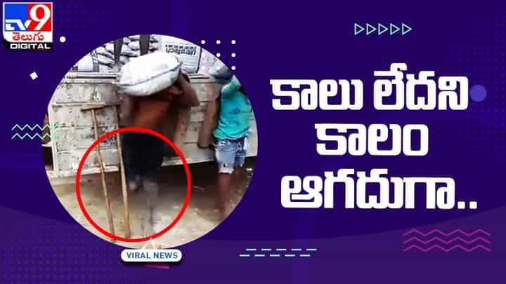 ఒంటికాలుపై బ్రతుకు పోరాటం.. నెట్టింట వైరల్ అవుతున్న వీడియో ఒంటికాలుపై బ్రతుకు పోరాటం.. నెట్టింట వైరల్ అవుతున్న వీడియో