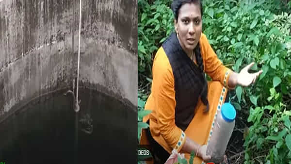 Viral Video: బావిలో పడ్డ పాము కోసం యువతి సాహసం..! నెట్టింట ప్రశంసల వర్షం..