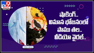 Rastrapathi Bhavan: రాష్ట్రపతి భవన్‌ ఎంత పెద్దదో చూడండి.. లోపల ఎప్పుడైనా చూసారా..? మీ కళ్ళను మాయచేస్తుంది…