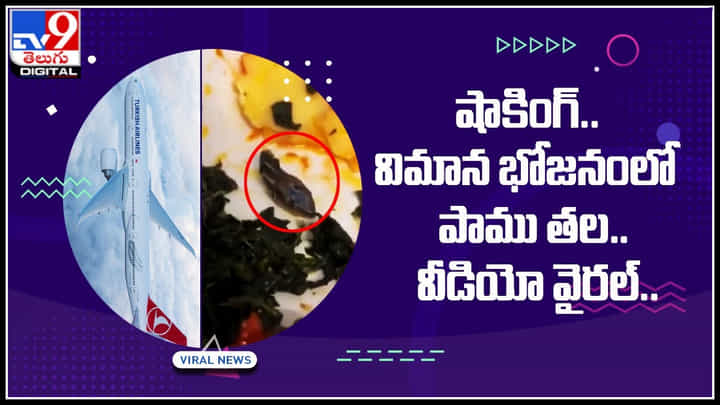 Snake head in meal: విమాన భోజనంలో పాము తల.. అధికారులు స్పందించాలి అంటూ వైరల్ చేస్తున్నజనం.. Snake head in meal: విమాన భోజనంలో పాము తల.. అధికారులు స్పందించాలి అంటూ వైరల్ చేస్తున్నజనం..