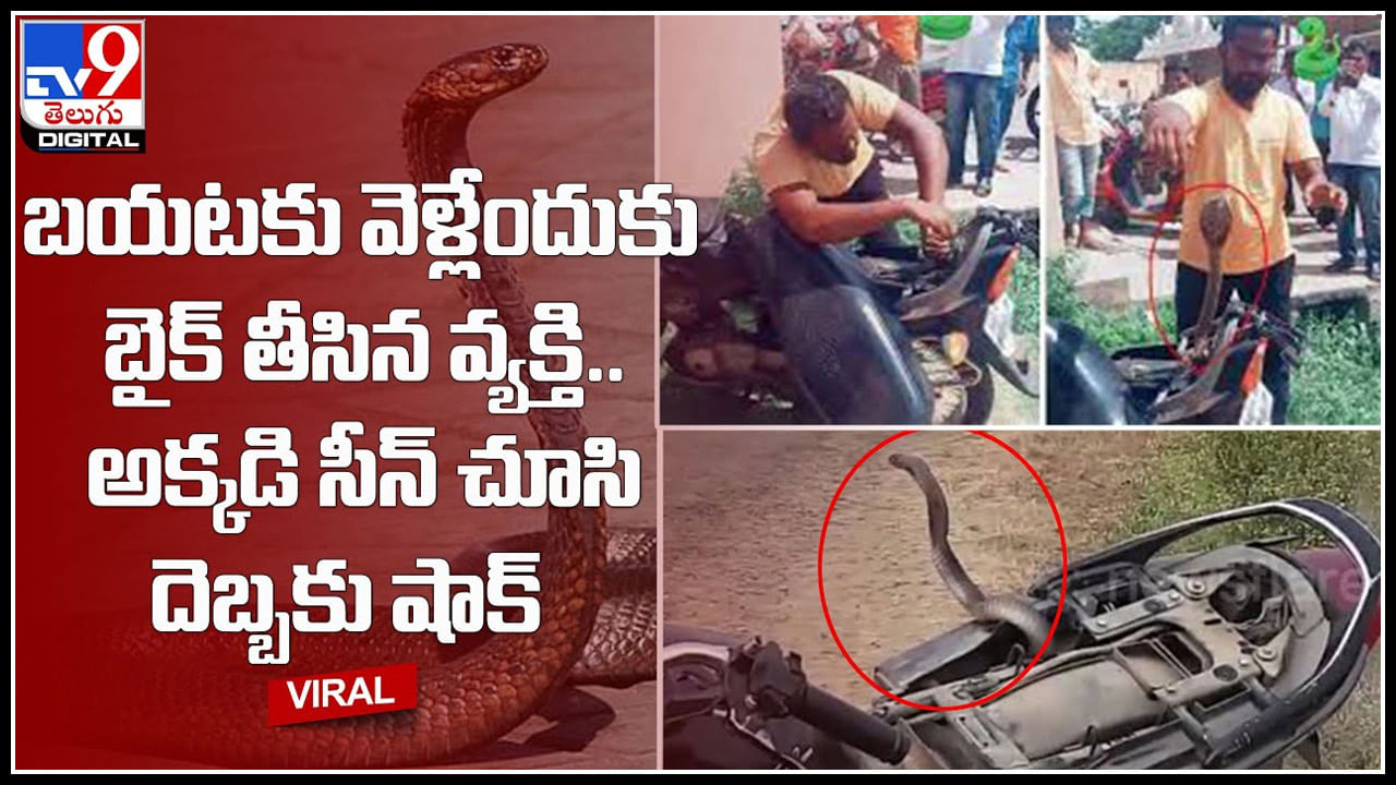 Snake Viral Video: బయటకు వెళ్లేందుకు బైక్‌ తీసిన వ్యక్తి.. అక్కడి సీన్‌ చూసి దెబ్బకు షాక్‌.. ఇంత పెద్దదా..!