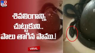 Viral Video: పెళ్లి బరాత్‏తో ఉత్సాహంగా డ్యాన్స్ చేస్తున్న వరుడు.. పెళ్లి కూతురు ఇచ్చిన షాక్‏కు స్టన్ అయ్యాడు..