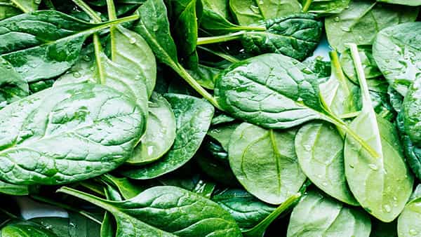 Spinach Benefits: బచ్చలికూర నిజంగా బంగారమే.. అద్భుత ఆరోగ్య ప్రయోజనాలు బోలెడు..!