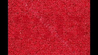 Viral Video: బీరు తాగి బాహుబలిలా మారిపోయిన ఎలుక.. పిల్లికి ఎలా చుక్కలు చూపించిందో మీరే చూడండి