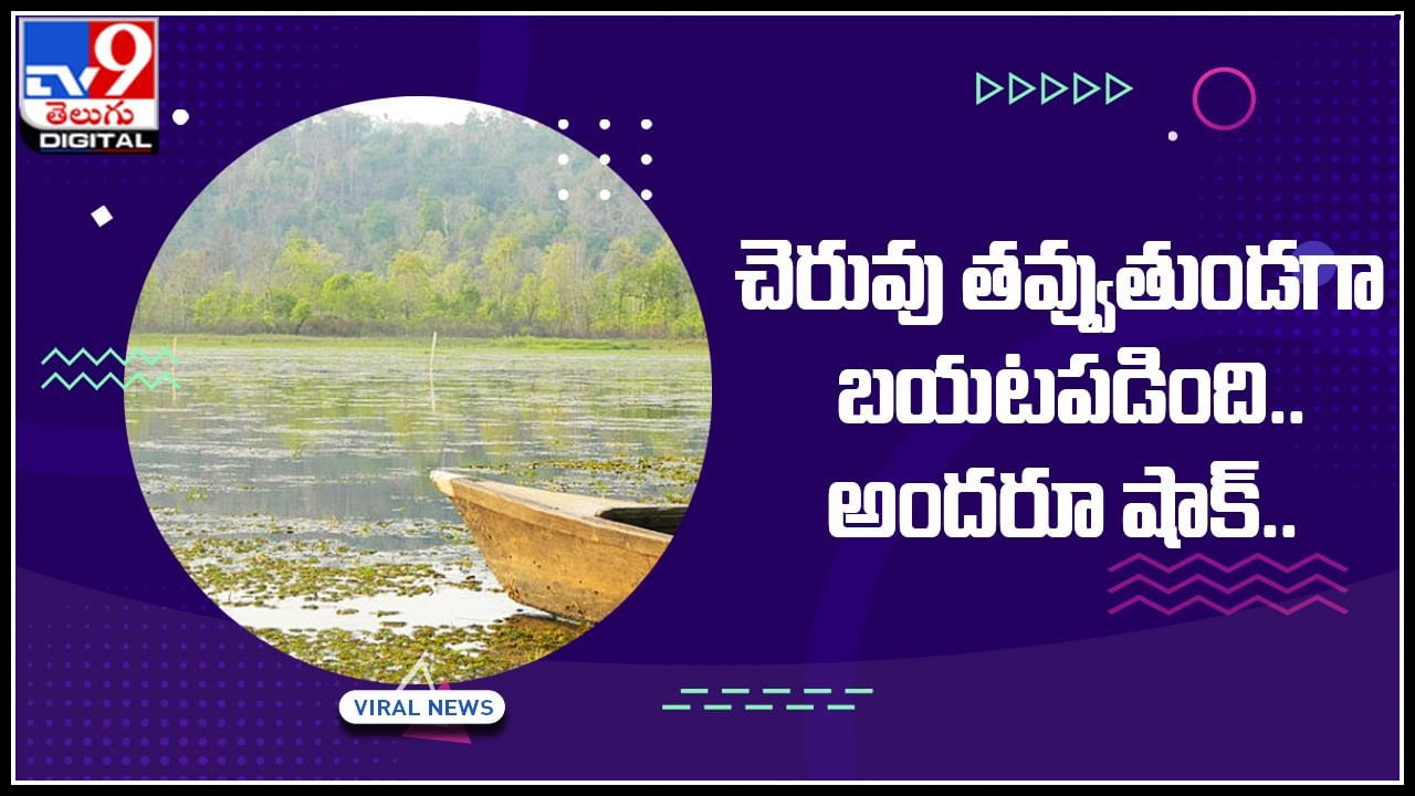 statue in pond: చెరువు తవ్వుతుండగా బయటపడింది.. భయంకరంగా అమ్మవారి విగ్రహం.. అందరూ షాక్..