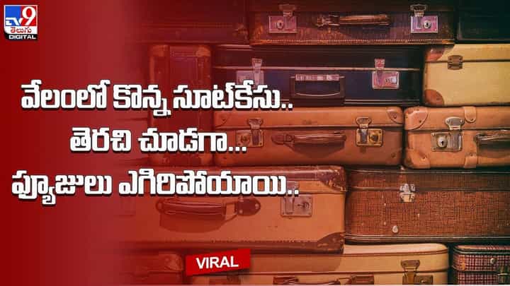 వేలంలో కొన్న సూట్కేసు.. తెరచి చూడగా... ఫ్యూజులు ఎగిరిపోయాయి వేలంలో కొన్న సూట్కేసు.. తెరచి చూడగా... ఫ్యూజులు ఎగిరిపోయాయి