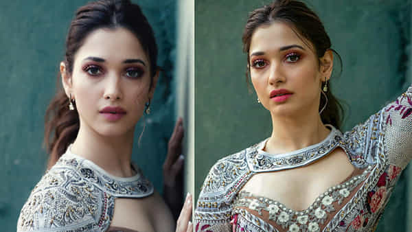 Tamannah: ఇండస్ట్రీపై మిల్కీబ్యూటీ షాకింగ్ కామెంట్స్.. స్త్రీ పాత్రలు అలాగే ఉంటాయంటూ..