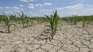 Basara IIIT: బాసర ట్రిపుల్‌ ఐటీలో అసలేం జరుగుతోంది.. అసలు, సురేష్‌ సూసైడ్‌కి కారణమేంటి?