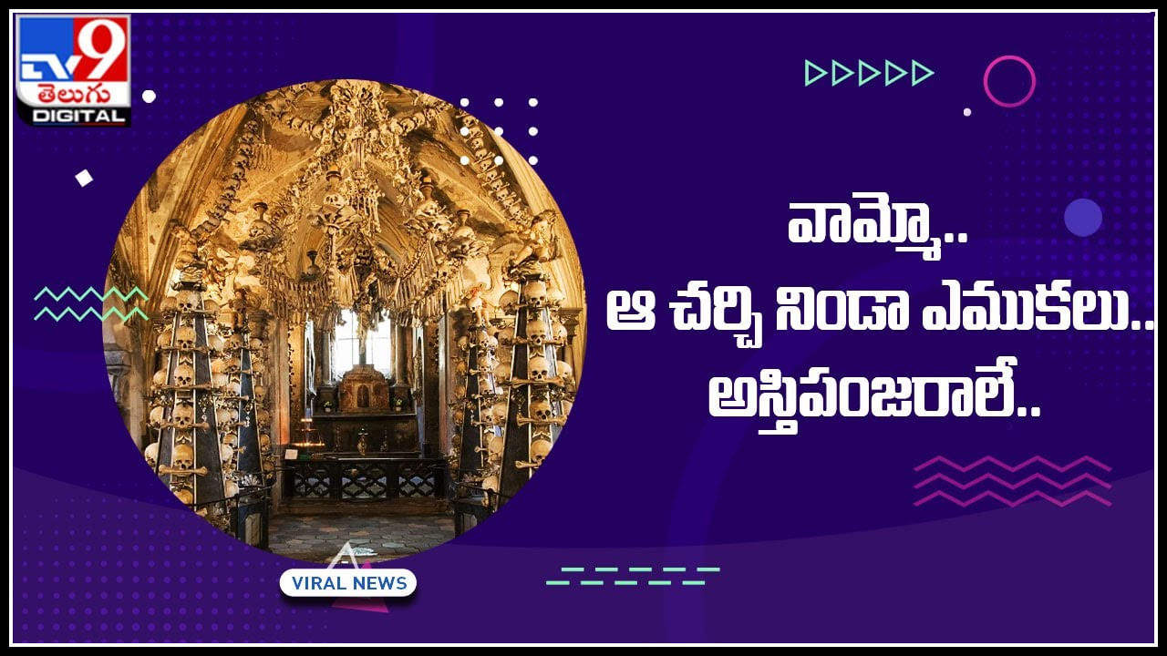 Church: 70 వేల ఎముకలు, అస్తిపంజరాలతో చర్చి నిర్మాణం..  ప్రముఖ పర్యాటక కేంద్రంగా మారిన బోన్ చర్చ్‌..