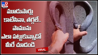 ఇంటిలో నుంచి వింత శబ్దాలు !! ధైర్యముంటేనే వీడియో చూడండి !!