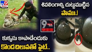 Optical Illusion: మీకో సవాల్.. ఈ ఫొటోలో కుక్క దాగుంది భయ్యా.. ఓసారి ట్రై చేసి చూడండి..