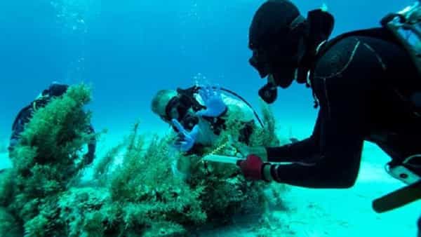 Viral: 360 ఏళ్ల క్రితం సముద్రంలో మునిగిన ఓడ.. తాజాగా బయటపడ్డ భారీ నిధి.. విలువెంతో తెలిస్తే షాక్ అవ్వాల్సిందే..