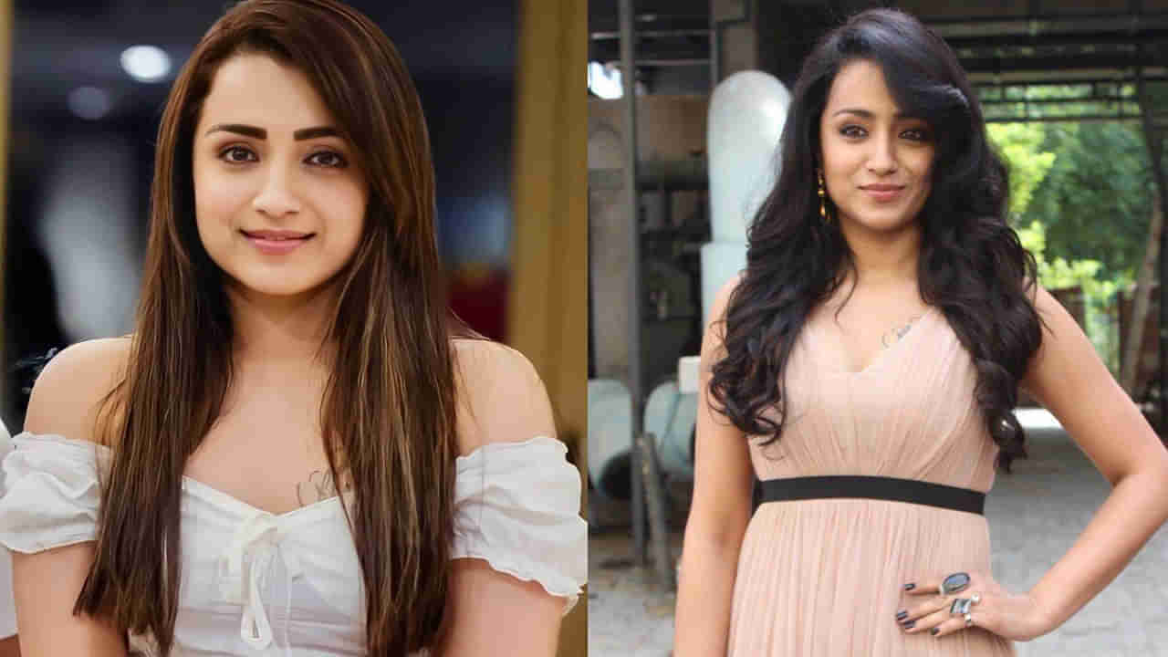 Trisha: త్రిషకు మరోసారి బ్రేకప్ ?.. విషపూరితమైన మనుషులంటున్న హీరోయిన్.. ఆసక్తికరంగా పోస్ట్..