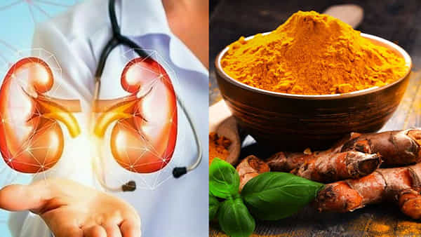 Kidney: వీటిని తీసుకోవడం వల్ల కిడ్నీ సామర్థ్యం పెరుగుతుంది.. ఇవి కిడ్నీని లోపలి నుంచి ఎలా శుభ్రం చేస్తుందో తెలుసా..