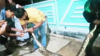 Viral Photo: మూడు కాళ్లు ఉన్న యువతి? ఈ ఫోటో తప్పును కనిపెడితే మీరే జీనియస్.. గుర్తించగలరా!