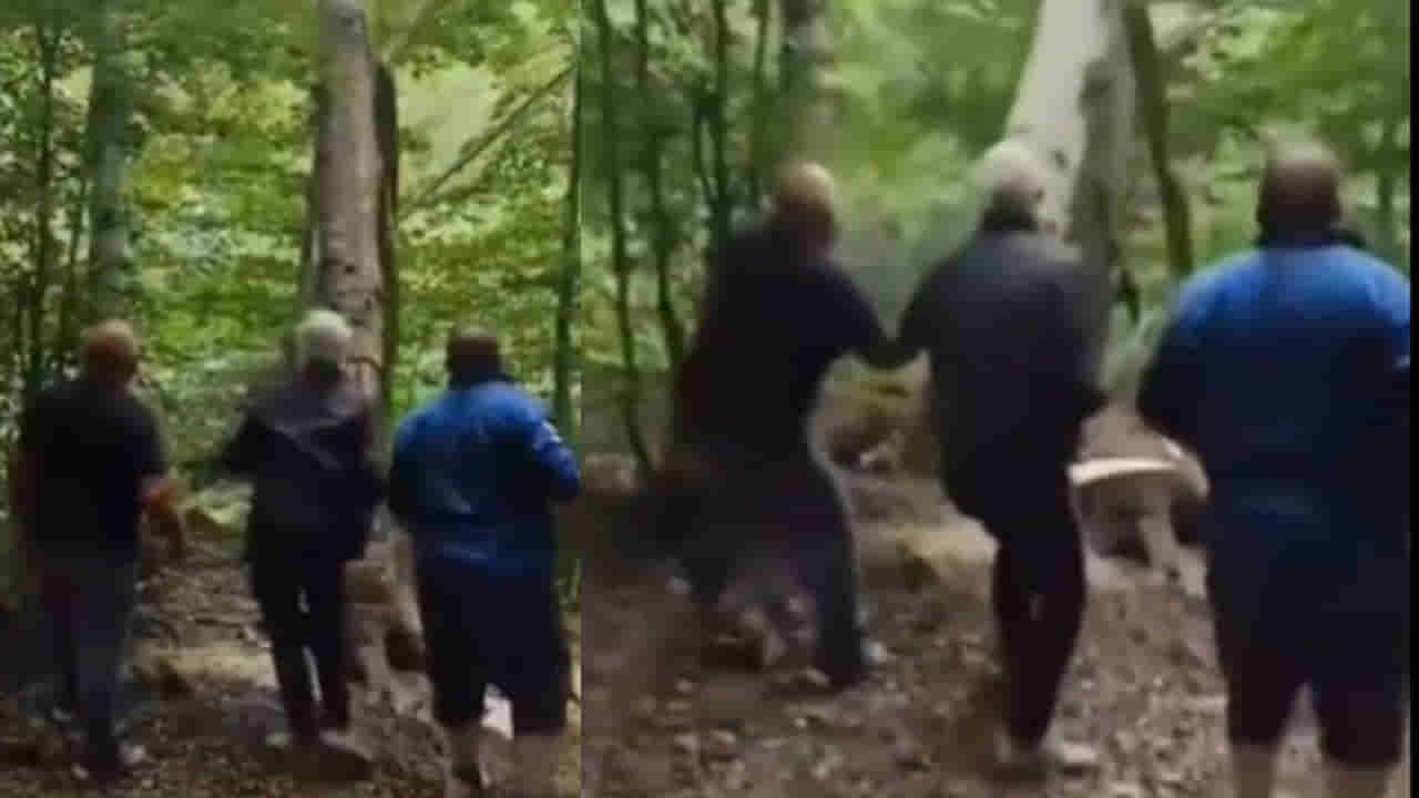 Viral Video: చెట్టుకు కోపం వస్తే ఇలాగే ఉంటుంది.. తనను నరికిన వ్యక్తికి చుక్కలు చూపించింది.. వైరలవుతున్న వీడియో..