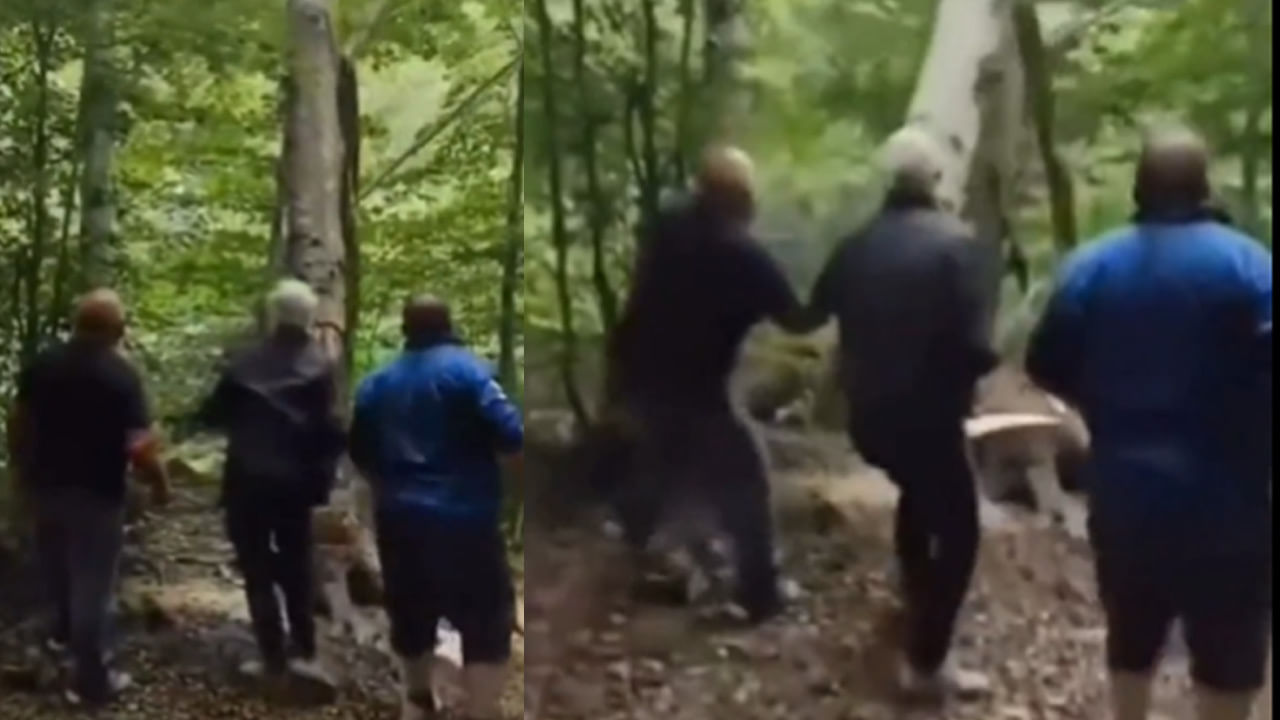 Viral Video: చెట్టుకు కోపం వస్తే ఇలాగే ఉంటుంది.. తనను నరికిన వ్యక్తికి చుక్కలు చూపించింది.. వైరలవుతున్న వీడియో..