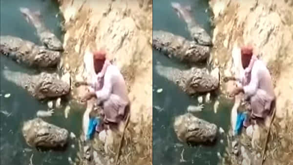 Viral Video: వీడెవడండి బాబు ధైర్యానికే బ్రాండ్ అంబాసిడర్లా ఉన్నాడు.. భయంకరమైన మొసళ్లకు అలవోకగా..