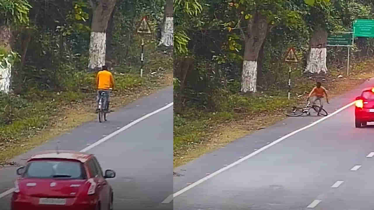 సైకిల్‌పై రయ్యిమంటూ వెళ్తోన్న యువకుడు.. అంతలోనే పొదల్లో నుంచి ఊహించని దాడి.. వెన్నులో వణుకు పుట్టిస్తోన్న వీడియో..