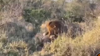 Mukesh Ambani: కళ్లు చెదిరే విల్లా.. వసతులు చూస్తే మైండ్ బ్లాంక్.. దుబాయిలో ముఖేశ్ అంబానీ కొత్త ప్రొపర్టీ..