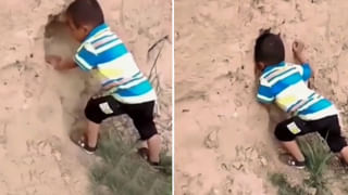 టీవీలో వస్తున్న వీడియోను చూస్తూ.. ఈ కుక్క ఏం చేసిందో తెలుసా !!