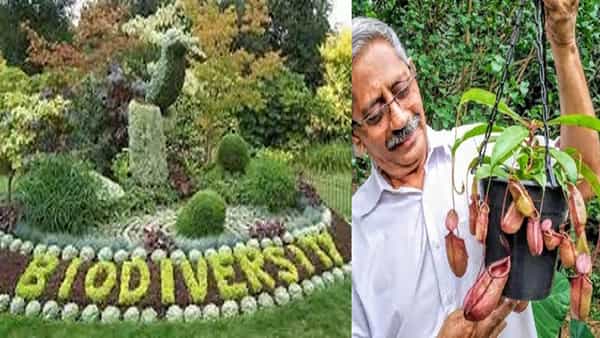 Viskaha: కాంక్రీట్ జంగిల్ లో బయోడైవర్సిటీ పార్క్.. రెండున్నర వేల రకాల వృక్షజాతులకు ప్రాణం పోసిన రిటైర్డ్ అధ్యాపకులు