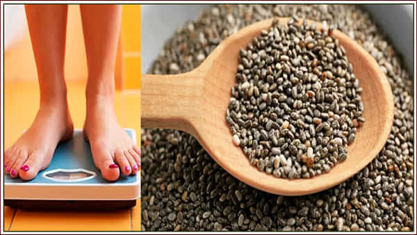 Weight Loss Tips: బరువు తగ్గడానికి ఐదు మార్గాలు.. ఈ విత్తనాలు తీసుకుంటే అద్భుతమైన ప్రయోజనం