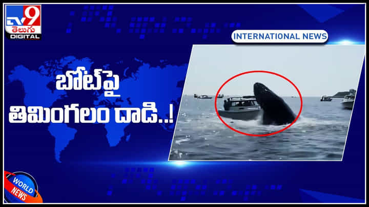 Viral Video: నడి సముద్రంలో షాకింగ్ సీన్.. 19 అడుగుల బోట్ ను అతలాకుతలం చేసిన తిమింగలం.. Viral Video: నడి సముద్రంలో షాకింగ్ సీన్.. 19 అడుగుల బోట్ ను అతలాకుతలం చేసిన తిమింగలం..