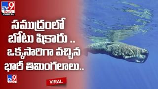 Viral: సముద్రపు అడుగున వింత జీవి.. చూస్తే విస్తుపోతారు