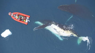 Viral Video: ప్రొఫెషనల్ రిపోర్టర్లకు ఏ మాత్రం తగ్గకుండా.. కెమెరా ముందు అదరగొట్టేసిన చిన్నోడు