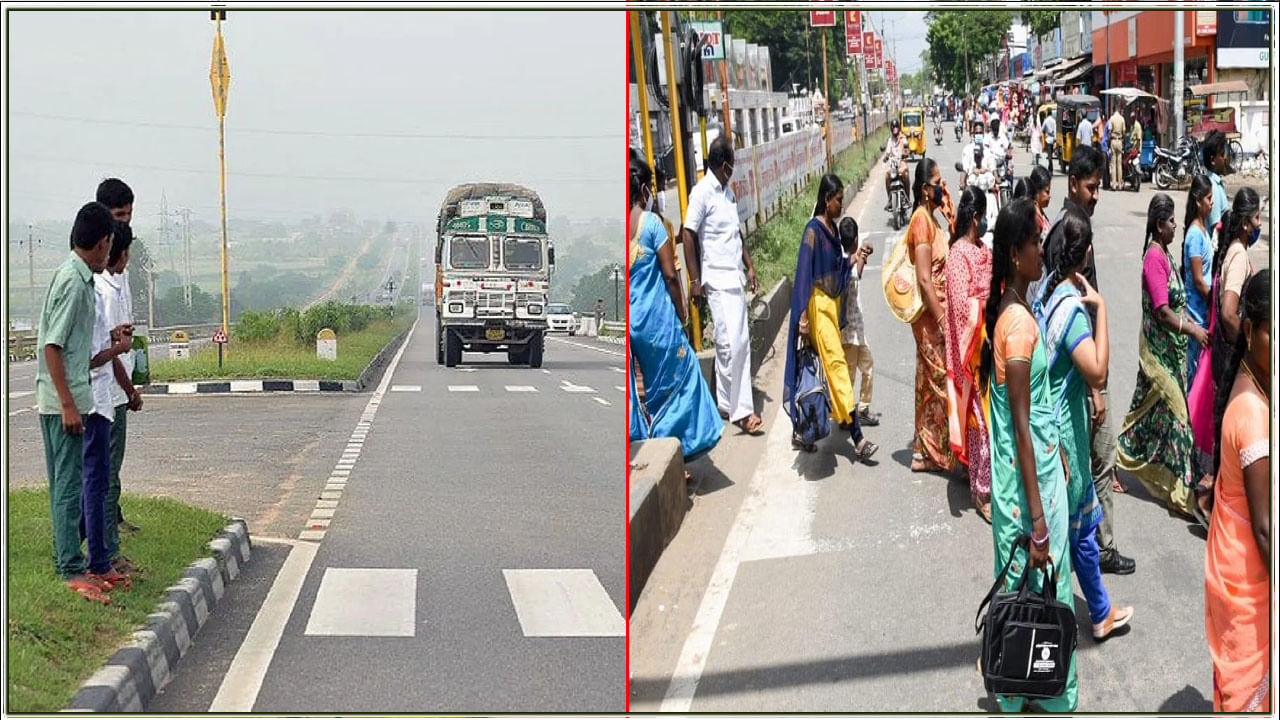 Zebra Crossing: కోర్టు ముందే అబద్దాలు.. జీబ్రా క్రాసింగ్ పేరుతో విద్యార్థి సాకులు.. చివరికి 6 నెలలు జైలు శిక్ష