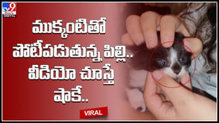 Pakistan-Sivalingam: పాకిస్తాన్‌లో అద్భుతం.. నానాటికి పెరుగుతున్న శివలింగం.. చూసేందుకు ఎగబడుతున్న జనం..