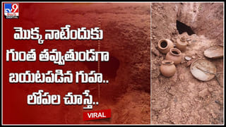 Non-veg lovers: నాన్‌వెజ్‌ ప్రియులకు షాకింగ్ న్యూస్.. అధికారులు తనిఖీల్లో భయానక నిజాలు.. కుళ్లిన చికిన్ మరియు..