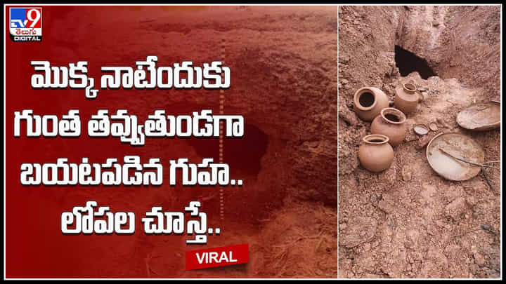 Cave Video: మొక్కనాటేందుకు గుంత తవ్వుతుండగా బయటపడిన గుహ.. గుహలో పురాతన వస్తువులు.. Cave Video: మొక్కనాటేందుకు గుంత తవ్వుతుండగా బయటపడిన గుహ.. గుహలో పురాతన వస్తువులు..