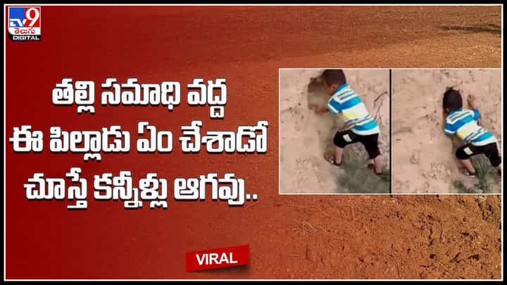 Mother sentiment: పసితనంలో తల్లిని పోగొట్టుకొని.. ఆమె తల్లి సమాధి వద్ద ఈ పిల్లాడు చేసిన పనికి మీకు కూడా కనీళ్లు ఆగవు.. Mother sentiment: పసితనంలో తల్లిని పోగొట్టుకొని.. ఆమె తల్లి సమాధి వద్ద ఈ పిల్లాడు చేసిన పనికి మీకు కూడా కనీళ్లు ఆగవు..