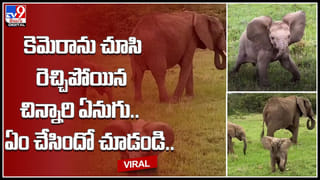 Students in Auto: పిల్లల్ని ఆటోలో స్కూల్‌కు పంపుతున్నారా..? ఈ డ్రైవర్‌ తీరుపై మండిపడుతున్న నెటిజన్లు..