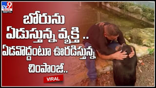 Crime Viral video: ఎంత దారుణం..! వెండి కడియాల కోసం వృద్ధురాలి కాళ్లు నరికేశారు.. ఎక్కడంటే..