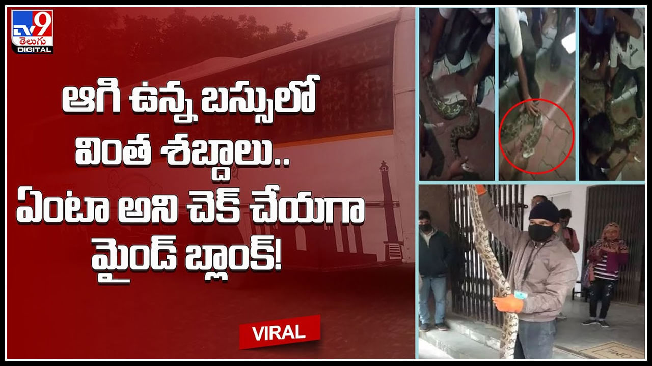 Luggage box: ఆగి ఉన్న బస్సులో వింత శబ్దాలు.. ఏంటా అని చెక్ చేయగా మైండ్ బ్లాంక్..!(వీడియో)